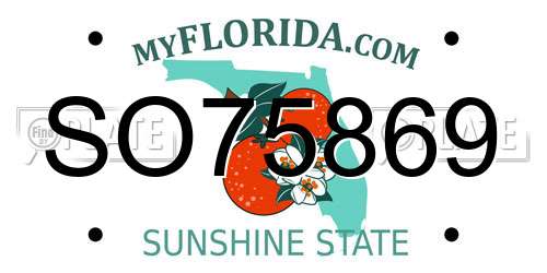 SO75869 Florida License Plate