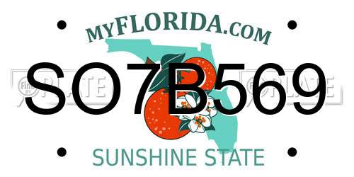 SO7B569 Florida License Plate