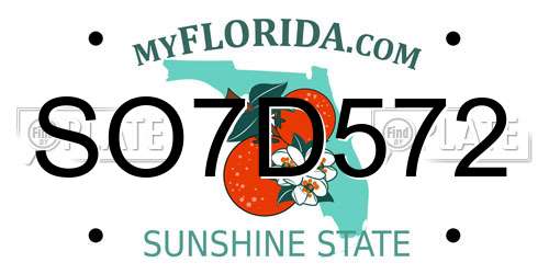 SO7D572 Florida License Plate
