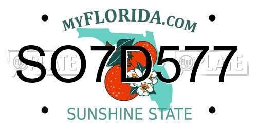 SO7D577 Florida License Plate