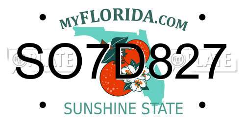 SO7D827 Florida License Plate