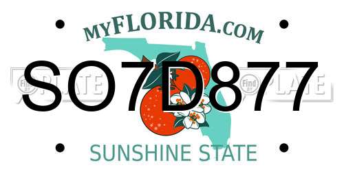 SO7D877 Florida License Plate
