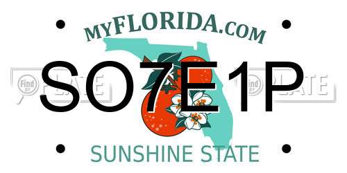 SO7E1P Florida License Plate