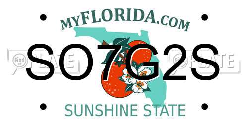 SO7G2S Florida License Plate