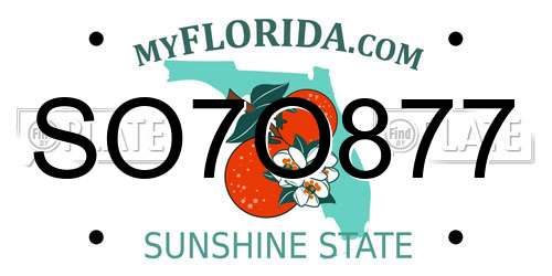 SO7O877 Florida License Plate