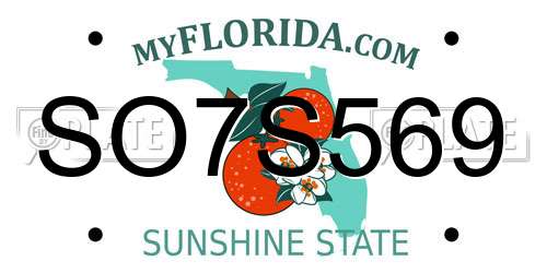 SO7S569 Florida License Plate