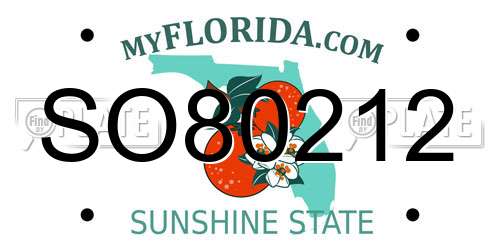 SO80212 Florida License Plate