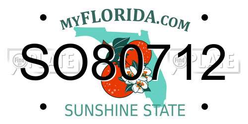 SO80712 Florida License Plate