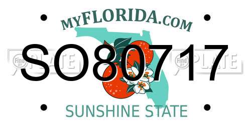 SO80717 Florida License Plate