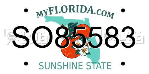 SO85583 Florida License Plate