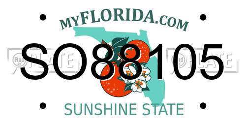 SO88105 Florida License Plate
