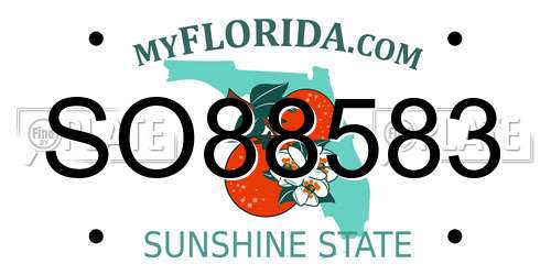 SO88583 Florida License Plate