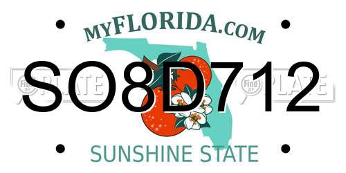 SO8D712 Florida License Plate
