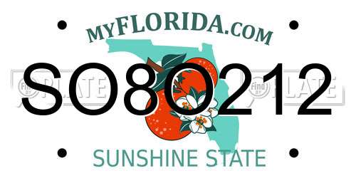 SO8O212 Florida License Plate