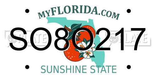 SO8O217 Florida License Plate