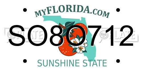 SO8O712 Florida License Plate