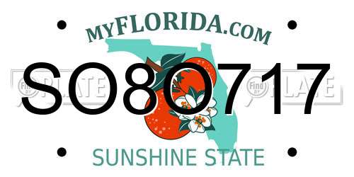 SO8O717 Florida License Plate