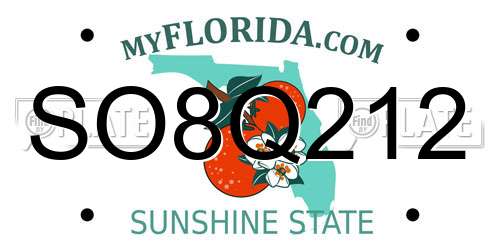 SO8Q212 Florida License Plate