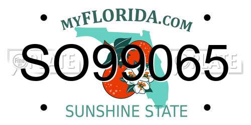 SO99065 Florida License Plate