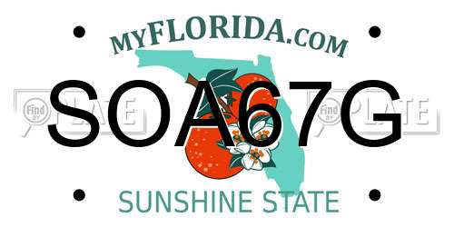 SOA67G Florida License Plate