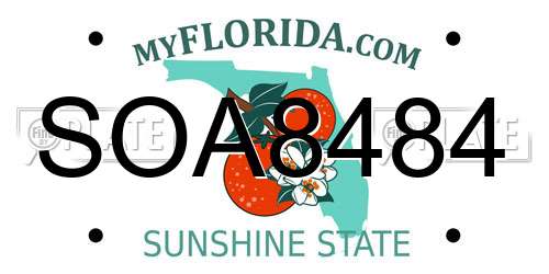 SOA8484 Florida License Plate