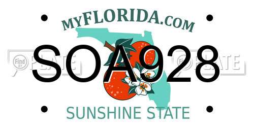 SOA928 Florida License Plate