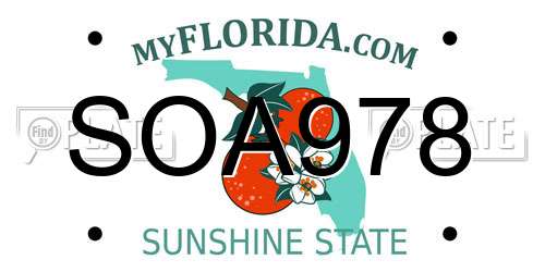 SOA978 Florida License Plate