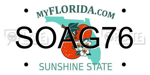 SOAG76 Florida License Plate