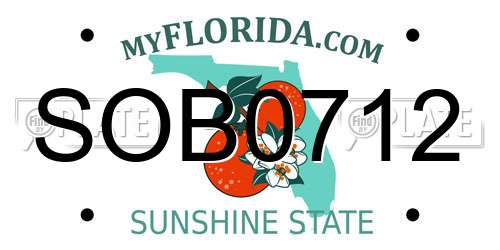 SOB0712 Florida License Plate