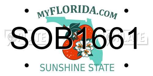 SOB1661 Florida License Plate