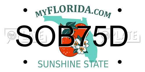 SOB75D Florida License Plate