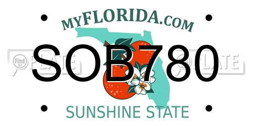 SOB780 Florida License Plate