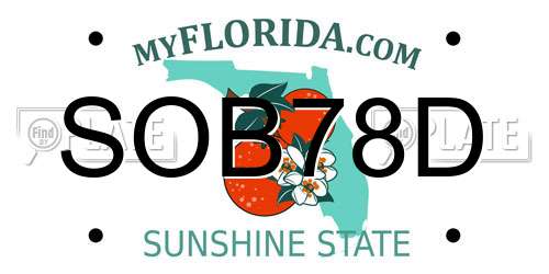 SOB78D Florida License Plate