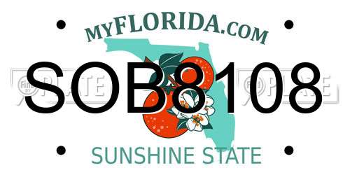 SOB8108 Florida License Plate