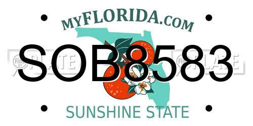 SOB8583 Florida License Plate