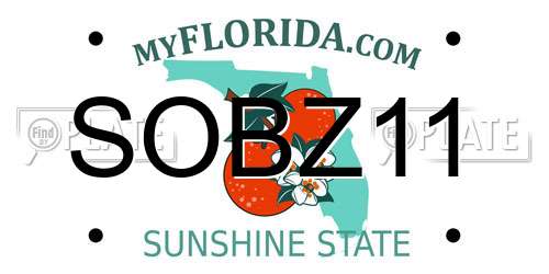 SOBZ11 Florida License Plate