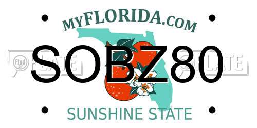 SOBZ80 Florida License Plate