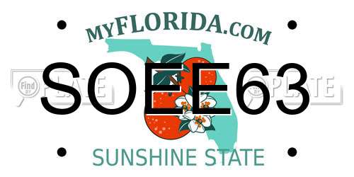 SOEE63 Florida License Plate
