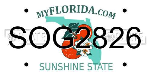 SOG2826 Florida License Plate