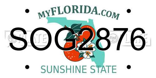 SOG2876 Florida License Plate