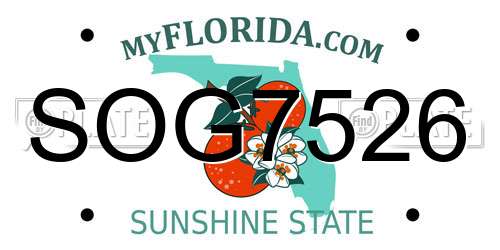SOG7526 Florida License Plate
