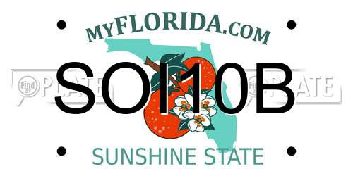 SOI10B Florida License Plate