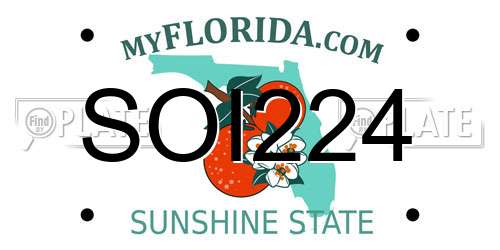 SOI224 Florida License Plate
