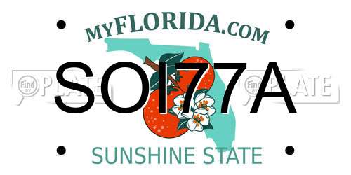 SOI77A Florida License Plate