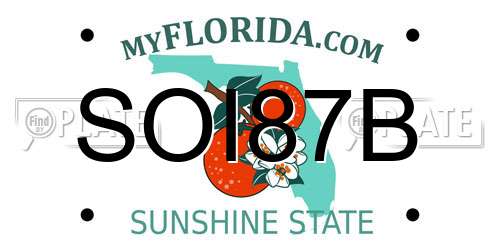 SOI87B Florida License Plate
