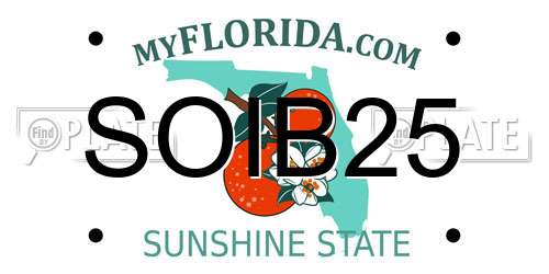 SOIB25 Florida License Plate