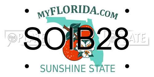 SOIB28 Florida License Plate
