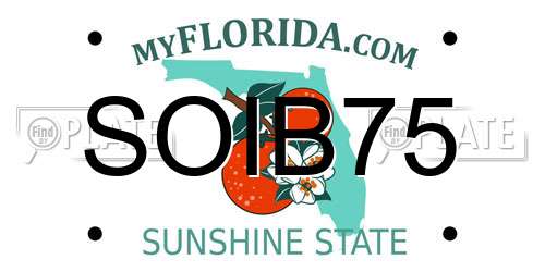 SOIB75 Florida License Plate