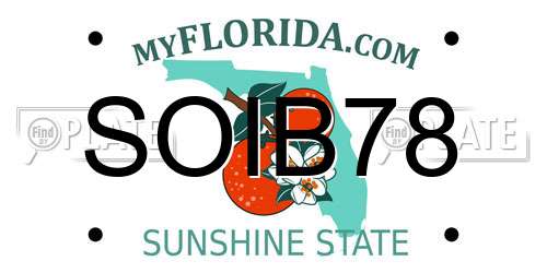 SOIB78 Florida License Plate