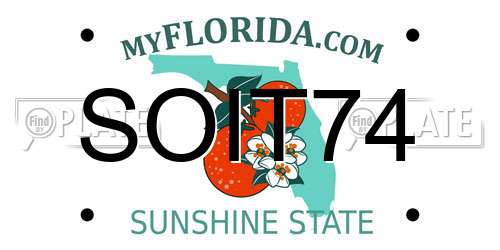 SOIT74 Florida License Plate